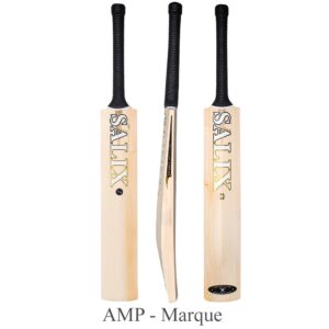 Salix AMP Marque cricket bat
